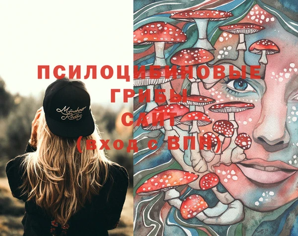 бутират Михайловск