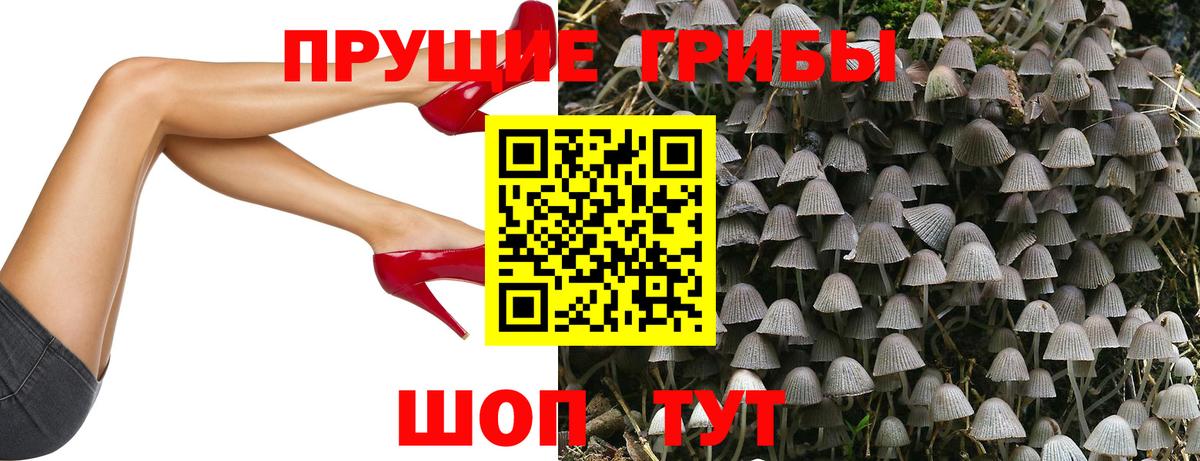 Новочебоксарск  Галлюциногенные грибы GOLDEN TEACHER  Вход с VPN 